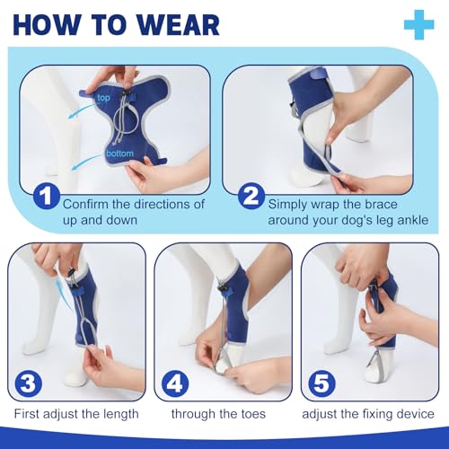 Image of Dog Knuckling Braces Wrap for Hyperflexion of Phalanges Cause by Sciatic Nerve Damage, Carpal Flexural Deformity - Dual Locking Straps for Safe Adjustable Toe Lift Support (Blue, X-Large)