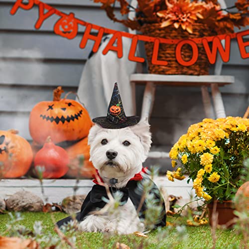 Set 12 piezas disfraz Halloween para perro pequeño miniatura 4