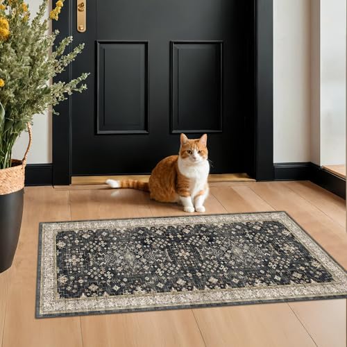 2x4 Entryway Runner Rugs Small Runners for Kitchen Door Mat Indoor Entrance Bathroom Non-Slip Low-Pile Washable Stain Resistant Vintage Ashen Charcoal Floral Decor (Ashen/Multi)