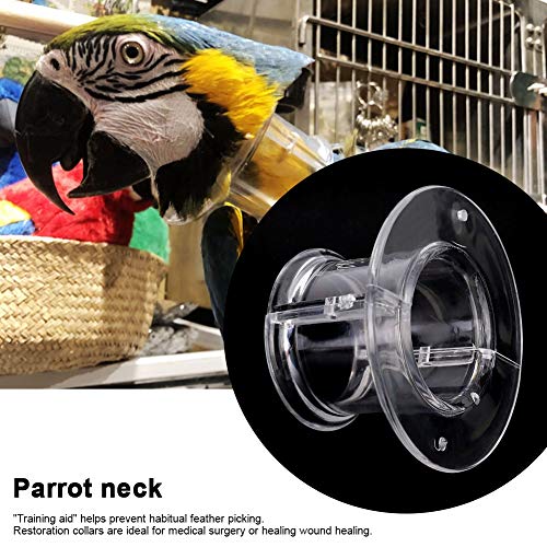 Parrot Neck Collar Bird Recovery Cones Bird Feather Protector Shield for Birds(M), Transparent - Image 4