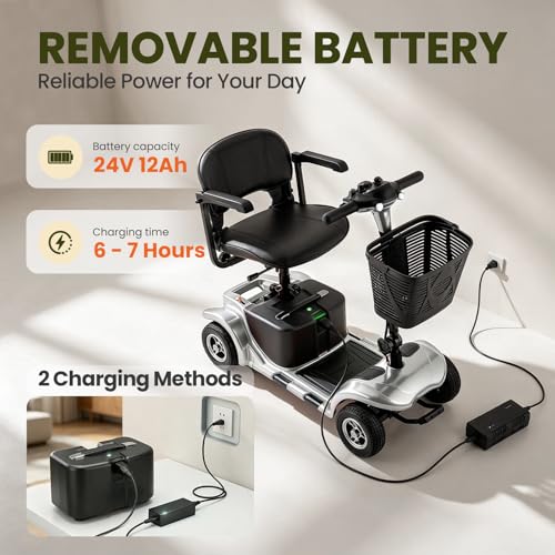 Image of Mobility Scooter for Adults, Senior, 4 Wheels Electric Powered Chargeable Device for Travel, Lightweight Mobility Scooter with LED Headlights and Basket, Charger Included (Silver /Black)