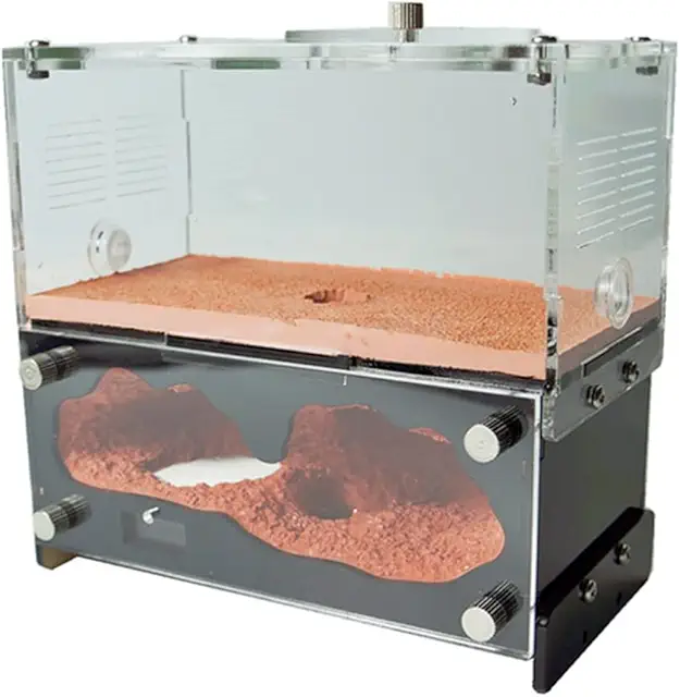 Beton Ameisenfarm Formicarium mit Fütterungsbereich - Ameisen Terrarium