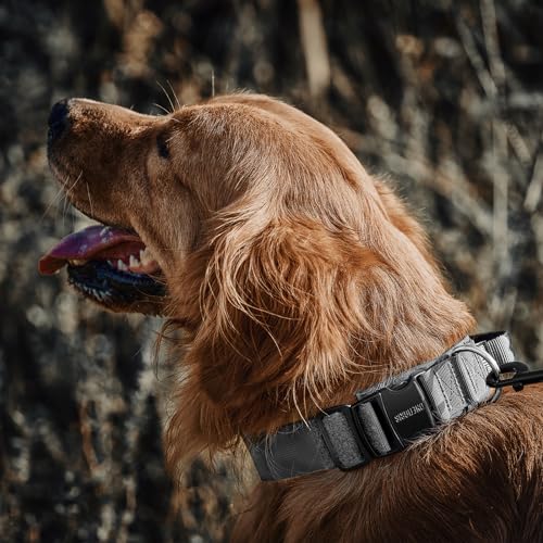 OneTigris Hunde Halsband mit Metallschnalle für Hunde Grau L