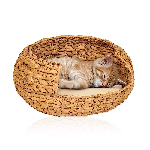 Animal-design Opale Panier pour chat - En jacinthe d'eau - Convient également pour petit chien - 2 tailles