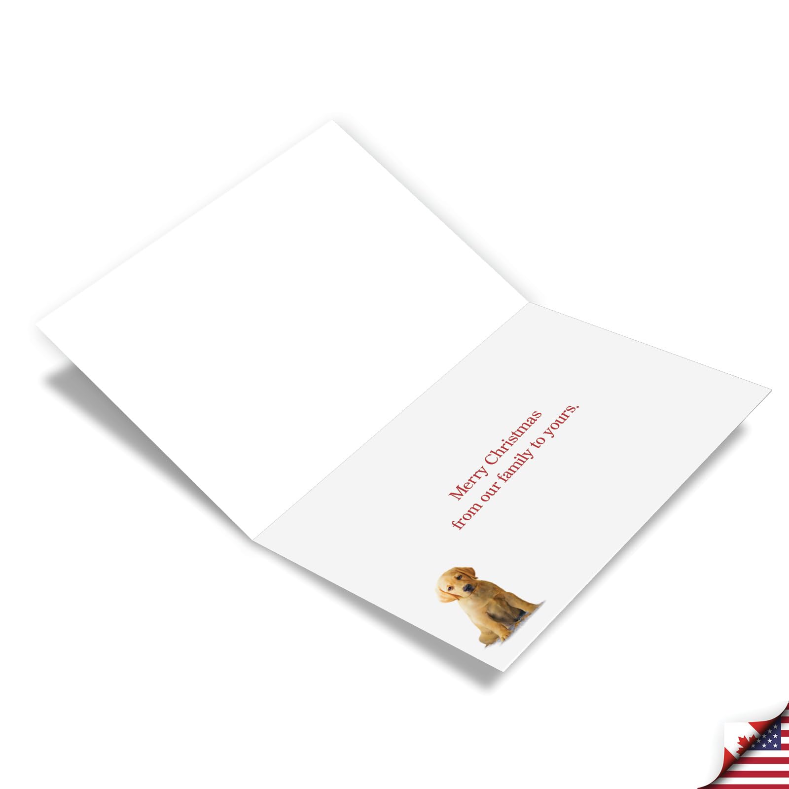 NobleWorks 10 Assorted Humorous Christmas Greeting Cards - 5x7 Inch Box Set With Envelopes (10 Different Designs)