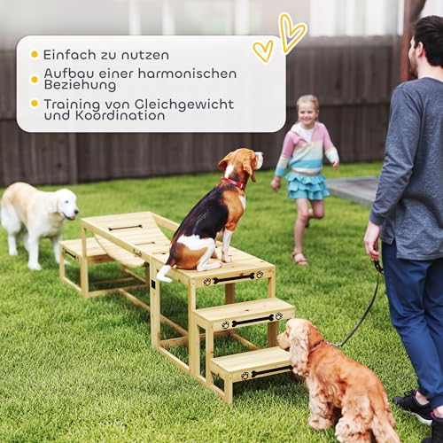 PawHut Agility Set Hunde 3-teiliges Set Agility-Ausrüstung mit Brücke, Treppe, Plattform, Hundetraining aus Tannenholz für mittelgroße, große Hunde bis 40 kg, Naturholz