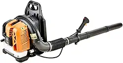 Soprador de Folhas Costal a Gasolina 2T 63CC 2.2KW 3HP - FORTG