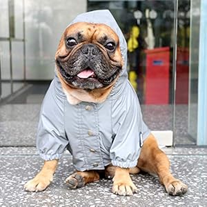 iChoue-Dog-Cold-Weather-Coats-Reflective-Safety-Jackets-Water-Resistant-Raincoats-All-Made-Up-of-High-Reflection-Fabric-Keep-Dogs-Visible-for-French-English-Bulldog-Bully-Pitbull-SilverySize-XL - Cucciolini Doodles iChoue-Dog-Cold-Weather-Coats-Reflective-Safety-Jackets-Water-Resistant-Raincoats-All-Made-Up-of-High-Reflection-Fabric-Keep-Dogs-Visible-for-French-English-Bulldog-Bully-Pitbull-SilverySize-XL