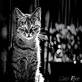  Cats Eye