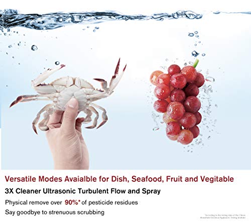 Fotile Sd2F Stainless Steel Kitchen In-Sink Dishwasher Combination, Heavy Gauge Bowl Dish Sanitizing, Enegry-Saving Countertop Dishwasher… (Sd2F-P1X) #TOP5