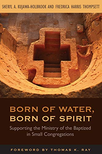 Born of Water, Born of Spirit: Supporting the Ministry of the Baptized in Small Congregations