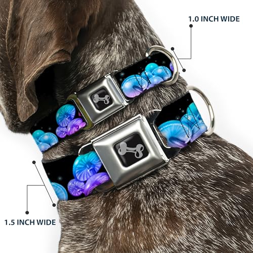 Collier pour chien large 3.8 cm Buckle-Down réglable 33 à 43 cm noir - 3