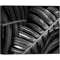 SIGNWIN Canvas Wall Art Large Tropical Monstera Leaves Botanical Plants Photography Realism Modern Closeup Dramatic Black and White for Living Room, Bedroom, Office - 12x18 inches