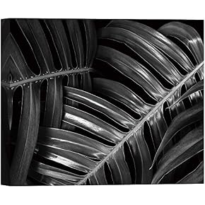 SIGNWIN Canvas Wall Art Large Tropical Monstera Leaves...
