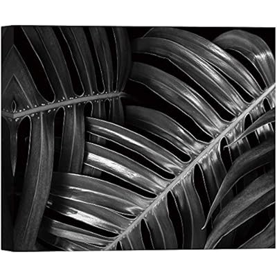 SIGNWIN Canvas Wall Art Large Tropical Monstera Leaves...