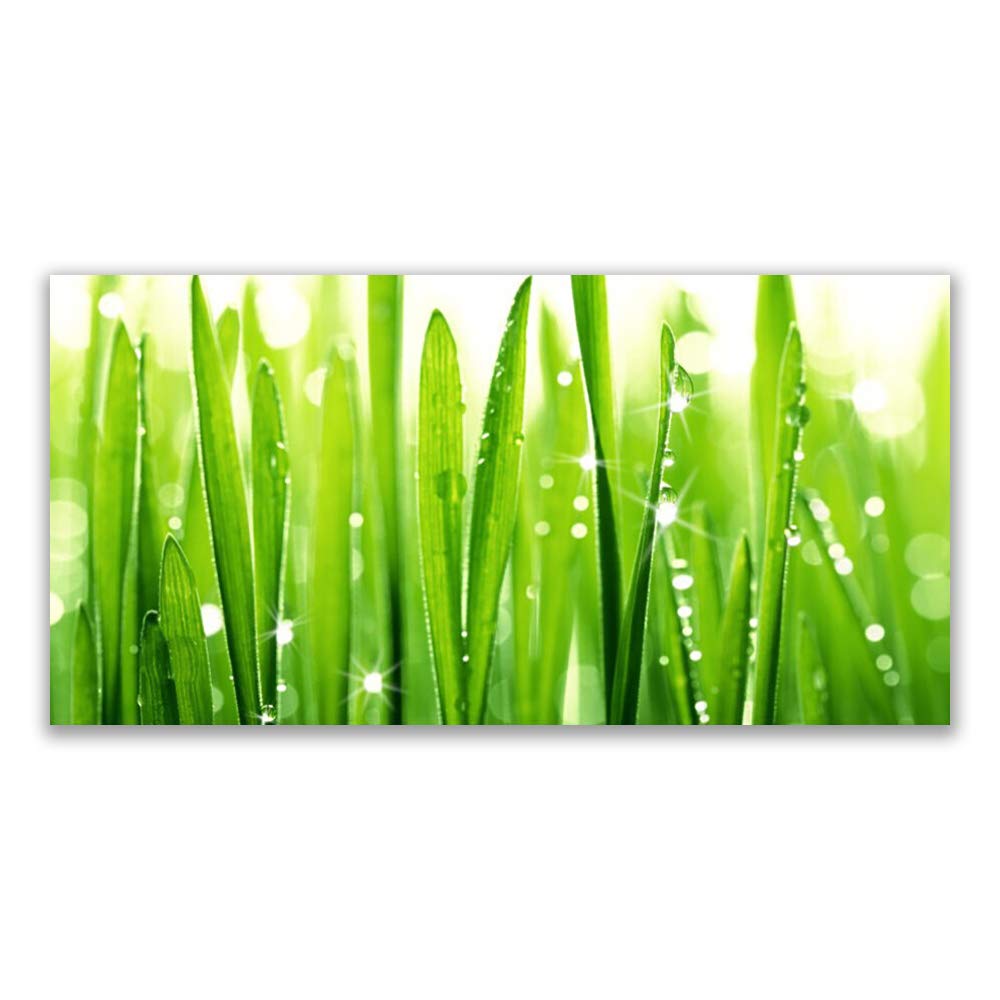 Tableau sur verre trempé 120x60 cm Tulup Herbe Floral déco murale design