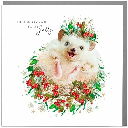 Lola Design - Wildlife Wonderful Christmas Cards - Blank Cards and Envelopes - Mouse