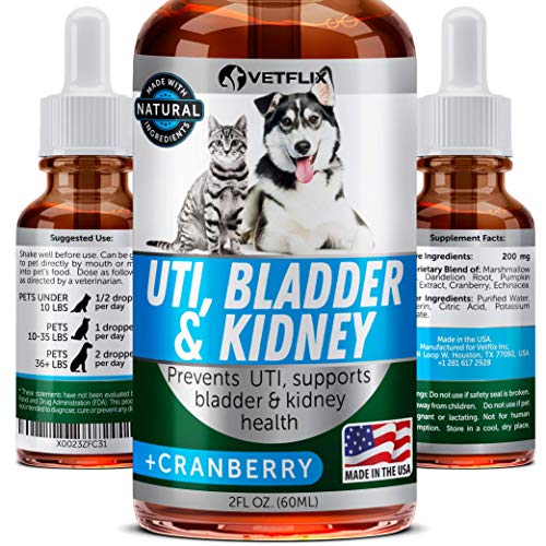 Top 10 Best Cranberry Supplement For Dogs in 2024 Reviews by Experts