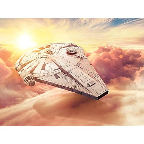 Solo: A Star Wars Story Canvas, Cotton, Multi-Colour, 60 x 80 cm Cover