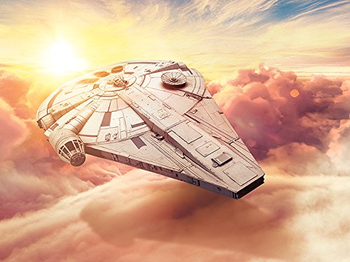 Toile Star Wars WDC100430 en coton, idée cadeau déco originale 60x80cm