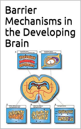 Barrier Mechanisms in the Developing Brain