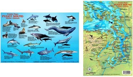 Simple Map With Fish Snapklik.com : FrankosMaps Laminated Map And Fish ID