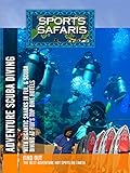 scuba diving definition  Sports Safaris - Scuba Diving in Fiji [OV]