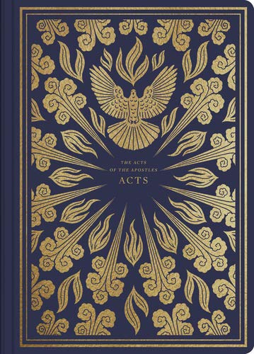Rarity ESV Illuminated Scripture Journal Acts44; Purple Softcover