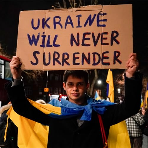 'No surrender': Zelensky rebukes Trump-Putin peace plan as missiles pummel Ukraine cover art