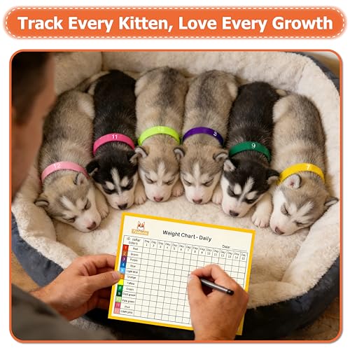 Image of Newborn Puppy Collar Set of 12 with Numbered Tags & Weight Tracker Chart, Soft Adjustable Kitten Collar, Puppy Collars for Litter, Whelping Supplies for Kitten Small Dogs (S /M /L) (L)