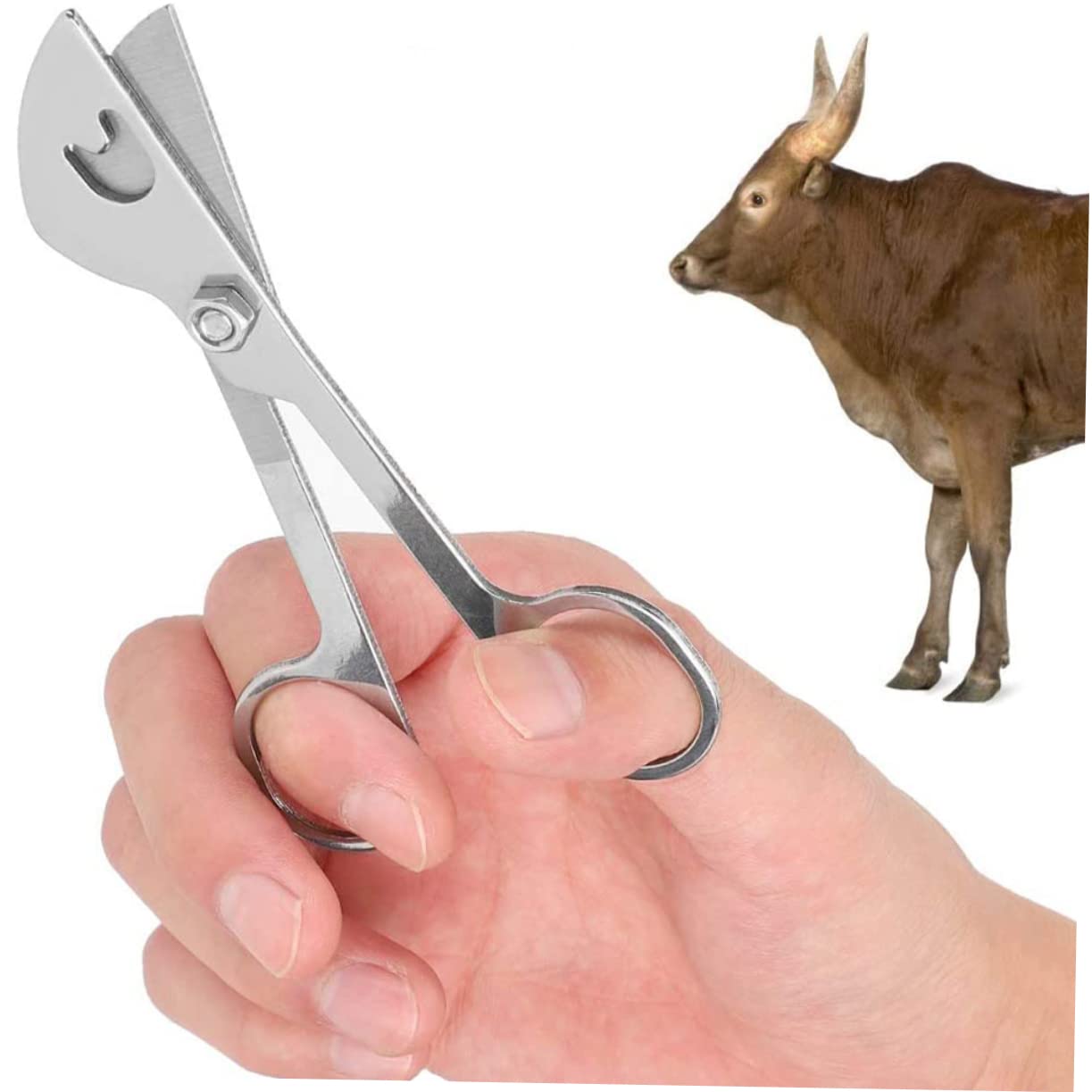 STOBOK 3stücke Cattle Scissors Werkzeug Schneiden Von - -rohren Für Langlebig Und Einfach Zu Bedienen Unverzichtbar Für Landwirte Und Tierärzte