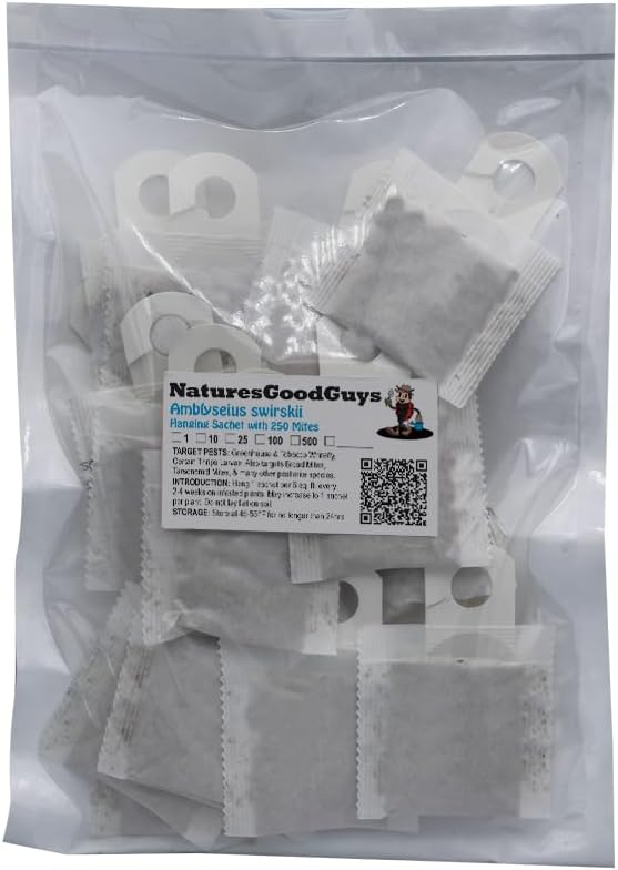Amblyseius swirskii 25 Sachets with 250 Mites
