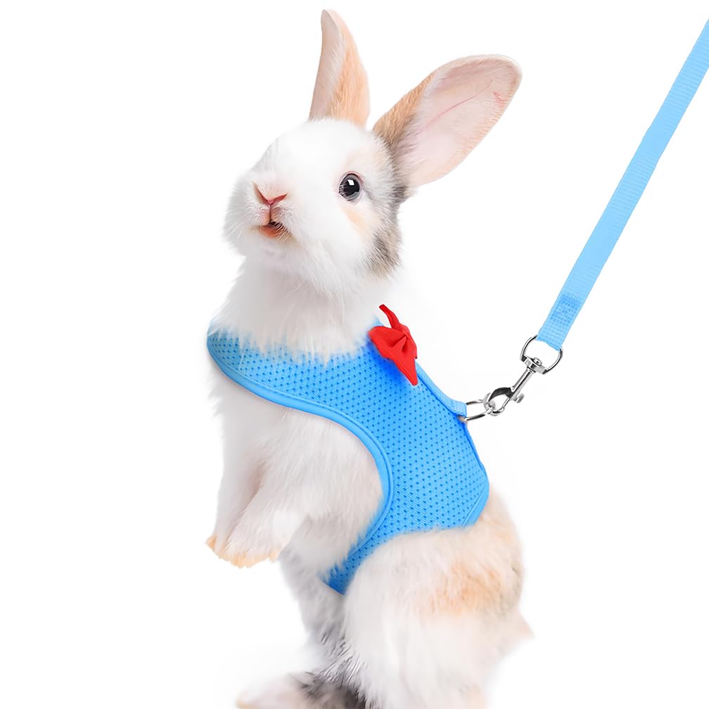 Harnais et laisse anti-fuite S pour lapin furet et chaton bleu