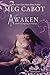 Abandon Book 3: Awaken