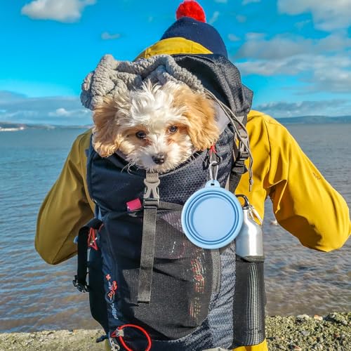 Faltbare Reisenäpfe,Silikon Wassernapf für Hunde,2 Stück Makronenfarben Tragbarer Hund Futternapf,Hunde Reise Wanderungen and Camping (Blau + Grau, 350ml)