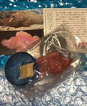 新江ノ島水族館立体生物図録　ナミダカサゴ　新品未開封　日本水族館立体生物図録 Amazon.co.jp: 新江ノ島水族館 立体生物図録2 ナミダカサゴ