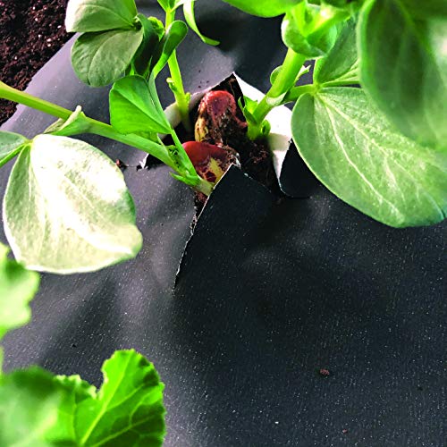 NovaMulch 120cm x 20m, Malla antihierbas de Papel Biodegradable ...