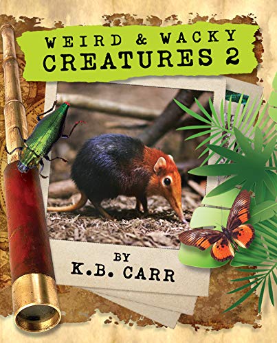 Weird & Wacky Creatures 2 (The Weird & Wacky Planet series)