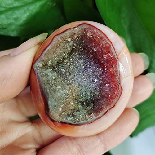 Seda natural y ágata en bruto en piedra de palma original para regalo del hogar 4