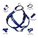 2 Hounds Design Freedom No Pull Dog Harness | Comfortable Control for Easy Walking |Adjustable Dog Harness and Leash Set | Small, Medium & Large Dogs | Made in USA | Solid Colors | 1