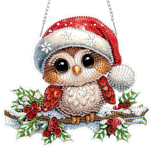 MEIYUDA Christmas Owl Diamond Art Hanging Kits for Adult, Cute Winter Owl Diamond Painting Hanging Kits Ornaments, DIY Special Shaped Rhinestone Window Pendants kit for Home Garden Wall Decor Gift