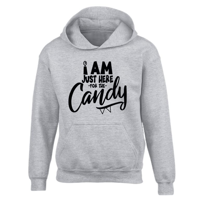 Sweat à capuche adulte gris taille XS Edward Sinclair imprimé