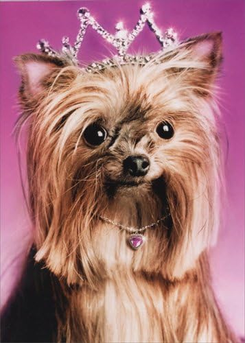 Yorkie Princess Dog Birthday Card
