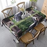 hdtvtv tovaglia rettangolare, lavabile, adatta per feste di compleanno e decorazioni per tavolini da caffè, 35 x 55 pollici. bearded collie beardie curly grey dogs pets