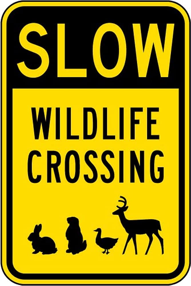 Peiyeety A004 Metal Tin Sign Wildlife Themed Wall Decor Slow Crossing Print Distressed Rustic Plaque For Home Living Room Bedroom Office Patio Garage Bar She Shed, 8×12 Inch