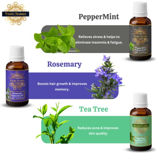 Exotic Aromas Essential Oil Lavender, Rose, Tea Tree, Jasmine, Ylang Ylang, Orange, Lemongrass, Peppermint, Rosemary, Pure & Natural (Pack of 9) - Image 5