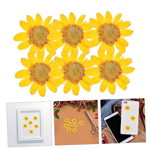 120 flores secas margaritas para manualidades y decoración miniatura 6
