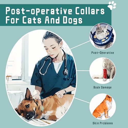 Image of Ovatt PVC inflatable pet collar for small medium and large dogs after surgery ,Washable Dog Cone Collar w /Removable Hard Cone for Dogs After Surgery (Lemon, S)
