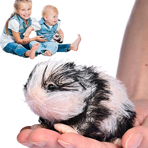 Consejos y reviews para comprar Animales reborn los 7 más buscados. 22 Animales Silicona | Muñeca Animal Realista Miniatura Reborn Silicona Panda - Cute Silicone Animals Fake Panda Reborn, Realista Baby Panda Doll Soft Body Fiaoen