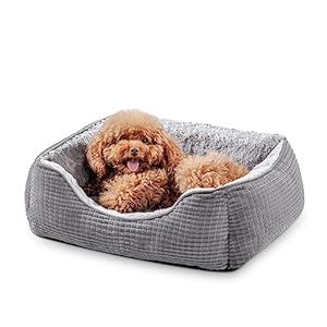 MIXJOY Dog Beds for Small Medium Large Dogs, SOG Bed Calming Cat & Pet Bed, Washable Rectangle Orthopedic Dog Sofa Bed, Soft Sleeping Warming Puppy Bed with Anti-Slip Bottom-20”x19”x6”